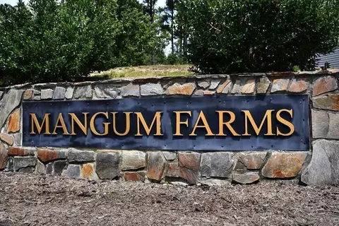 209 Richmond Run, Stem, NC 27581 photo 30
