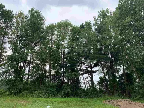273 Lowery Ln, Benson, NC 27504 photo 7