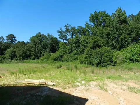 263 Hunter Fox Trl, Angier, NC 27501 photo 12