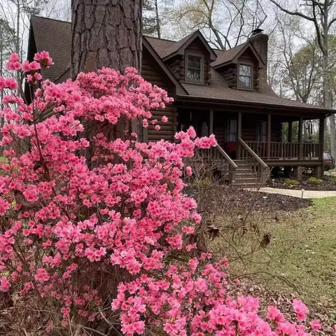 6632 Wateroak Dr, Willow Spring, NC 27592 photo 29
