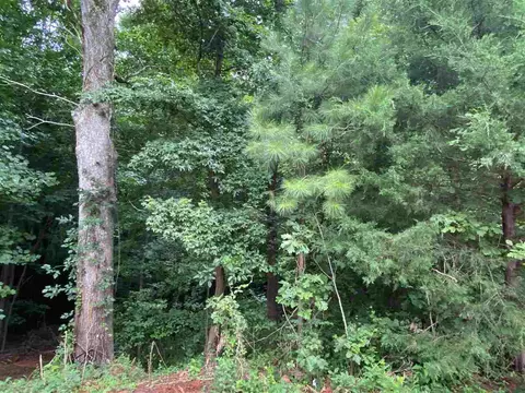 573 Simon Rd, Middlesex, NC 27557 photo 18