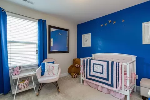 1013 Searstone Ct, Durham, NC 27713 photo 25
