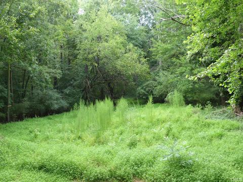 1408 Ellis Rd, Durham, NC 27703 photo 25