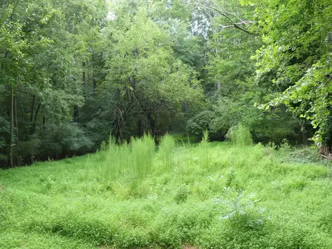 1408 Ellis Rd, Durham, NC 27703 photo 25