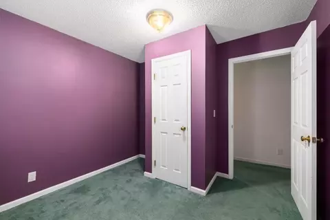 409 N Pine St, Spring Hope, NC 27882 photo 18