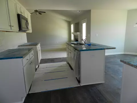 116 Monaghan Ct, Selma, NC 27576 photo 6