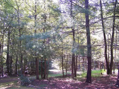 1012 Wolf Laurel Ct, Rougemont, NC 27572 photo 23