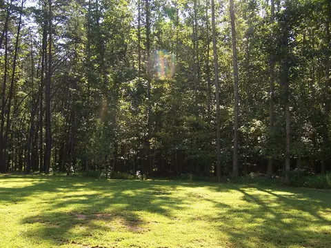 1012 Wolf Laurel Ct, Rougemont, NC 27572 photo 21