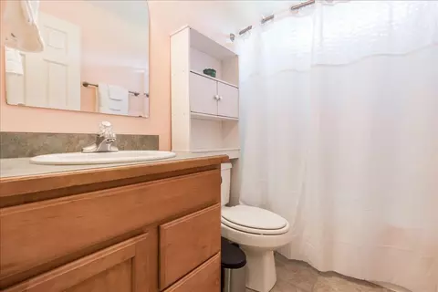 101 Allison Ct, Stem, NC 27581 photo 20
