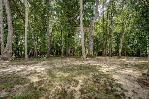5207 Sandbridge Ct, Bailey, NC 27807 photo 30