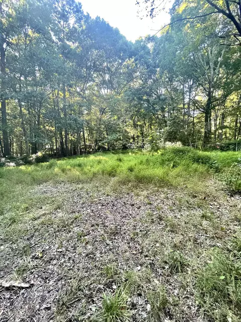 6217 Doyle Rd, Durham, NC 27712 photo 7