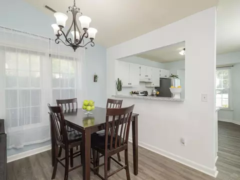 101 Mint Ct, Cary, NC 27513 photo 11