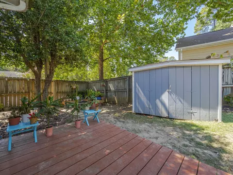 101 Mint Ct, Cary, NC 27513 photo 23