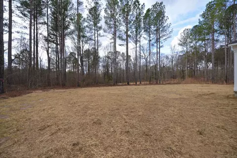 294 Berg St, Smithfield, NC 27577 photo 36