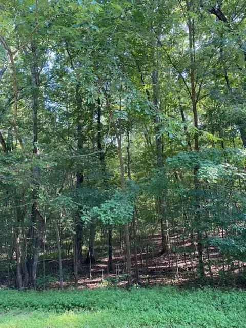 5500 Dude Ranch Rd, Durham, NC 27704 photo 3