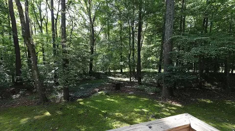 311 Old Fox Trl, Durham, NC 27713 photo 13
