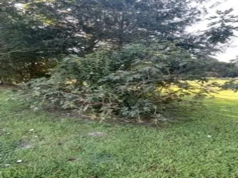 1105 Warren Rd, Erwin, NC 28339 photo 30