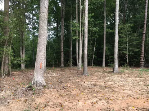 2665 Spring Hill Rd, Spring Hope, NC 27882 photo 16
