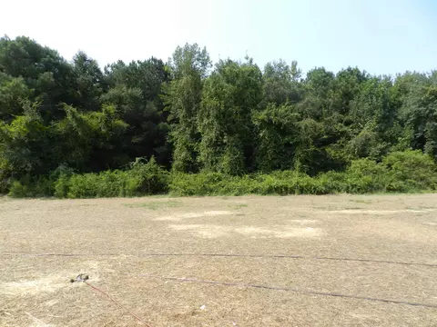 186 Monaghan Ct, Selma, NC 27576 photo 17