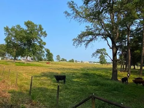 660 Noah Rd, Benson, NC 27503 photo 12