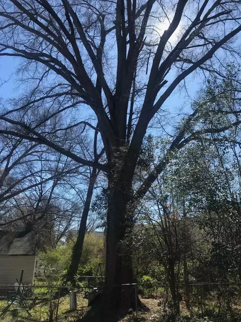 2511 Banner St, Durham, NC 27704 photo 8