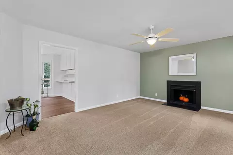 1810 Cole Mill Rd, Durham, NC 27712 photo 6