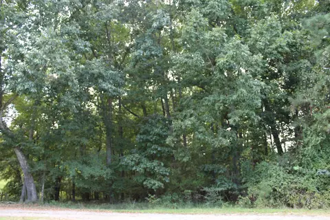 3559 Deerfield Rd, Stem, NC 27581 photo 3