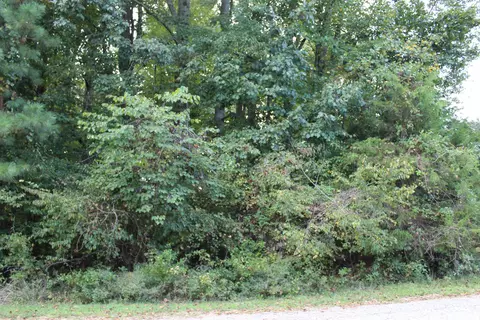 3559 Deerfield Rd, Stem, NC 27581 photo 5