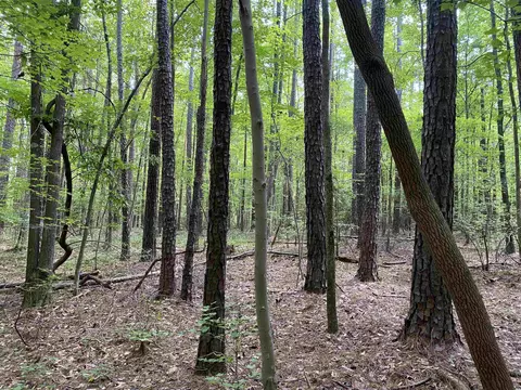 0 Old Stage Rd, Garner, NC 27529 photo 11