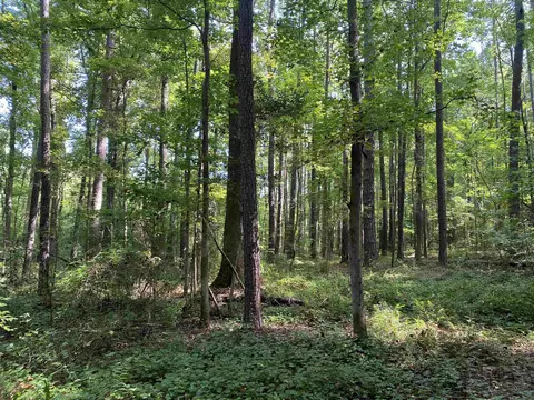 0 Old Stage Rd, Garner, NC 27529 photo 8