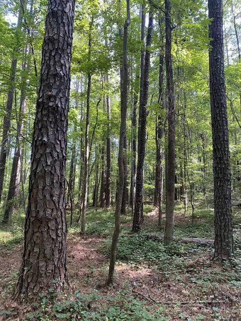 0 Old Stage Rd, Garner, NC 27529 photo 10