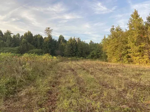 2763 Byrds Mill Rd, Erwin, NC 28339 photo 5