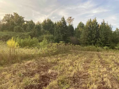 2763 Byrds Mill Rd, Erwin, NC 28339 photo 7