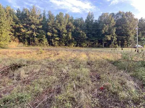 2763 Byrds Mill Rd, Erwin, NC 28339 photo 8