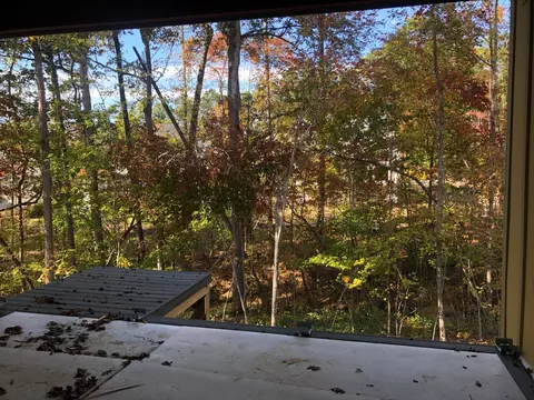 217 Stone Park Dr, Wake Forest, NC 27587 photo 9