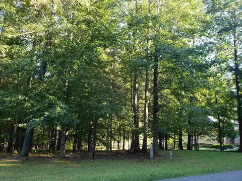 3534 Carlene Ln, Stem, NC 27581 photo 6