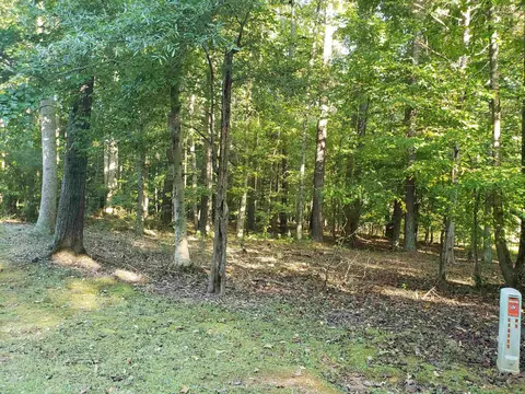 3534 Carlene Ln, Stem, NC 27581 photo 5
