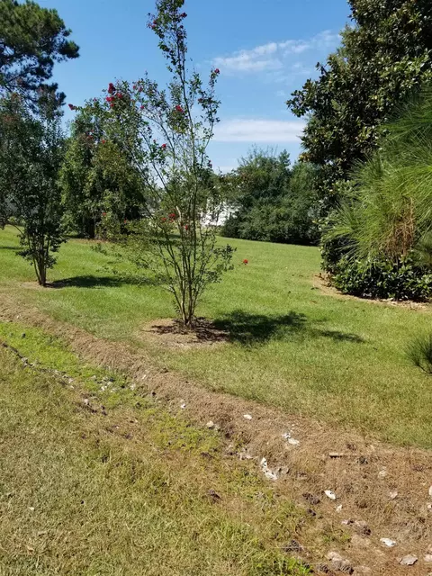 203 Hinnant St, Micro, NC 27555 photo 5