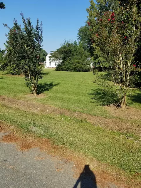 203 Hinnant St, Micro, NC 27555 photo 4
