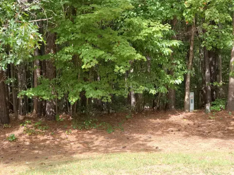 3121 White Pine Ct, Wake Forest, NC 27587 photo 3