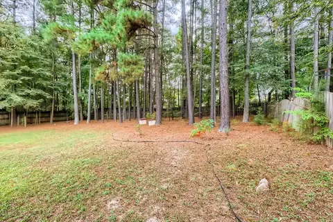 9421 Buggy Run Cir, Wake Forest, NC 27587 photo 26