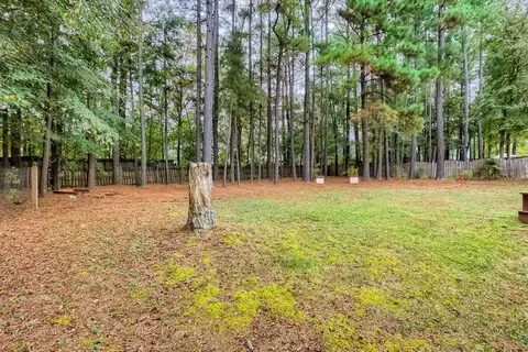 9421 Buggy Run Cir, Wake Forest, NC 27587 photo 25