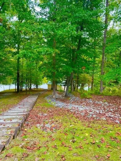 247 Point Trl, Semora, NC 27343 photo 23
