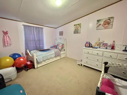 105 Blue Devil Ln, Timberlake, NC 27583 photo 14