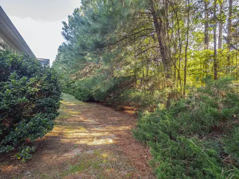 10450 Dapping Dr, Raleigh, NC 27614 photo 22