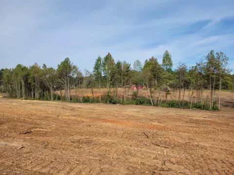 2549 Old 421 Rd, Staley, NC 27355 photo 13