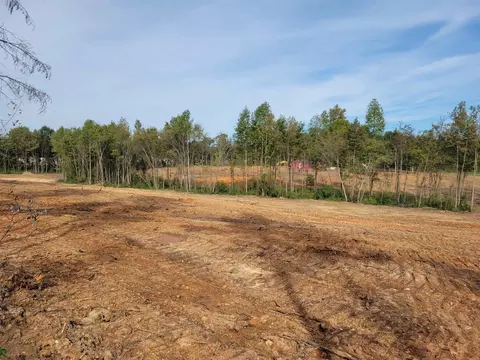 2549 Old 421 Rd, Staley, NC 27355 photo 1