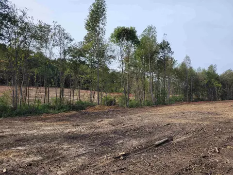 2549 Old 421 Rd, Staley, NC 27355 photo 6