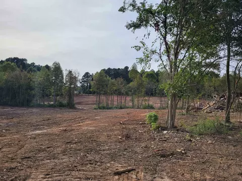 2549 Old 421 Rd, Staley, NC 27355 photo 3