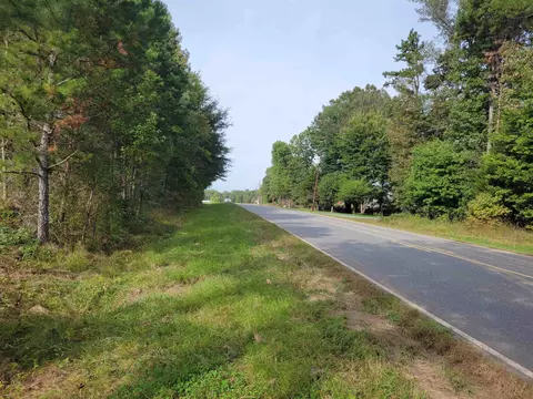 2549 Old 421 Rd, Staley, NC 27355 photo 18